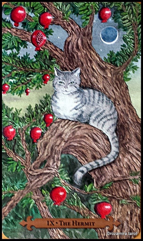 Mystical Cats Tarot